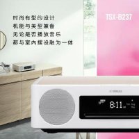 휴대용 노래방 스피커 야마하/야마하 TSX-B237QH 데스크탑 CD 오디오 일체기