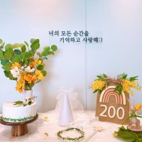 별빛올림 100일 200일 300일 생일 기념 아기 셀프 성장 촬영 천사날개 소품대여