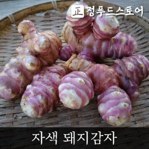 2025 햇 자색돼지감자 생돼지감자 프리미엄돼지감자 5kg 10kg