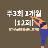 주3회1개월(12회)_요가 엘[요가V&A중동센터/해운대요가/중동요가]
