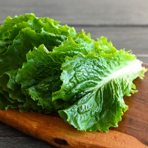 [파머스몰] 잎 로메인 상추 1kg 2kg 청상추