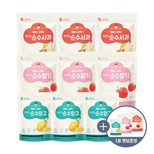 맛있는풍경 엄마가 선택한 순수과일칩 9봉 간편간식 키즈스낵 건조과일 (9+1)