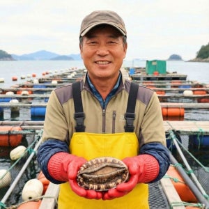 특전복 완도전복직거래 오분자기 전복시세 1키로 해남활전복 몸보신제철 직거래 찜 대왕 1kg