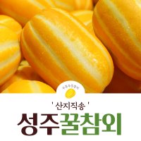 꿀 참외 성주참외 2kg 3kg 5kg 10kg