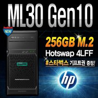 ML30 G10 (E-2224 64GB 256G SSD)서버 HP 임대