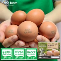 한스팜 동물 복지 달걀 40구 난각번호 2 특란 유정란 코스트코 계란