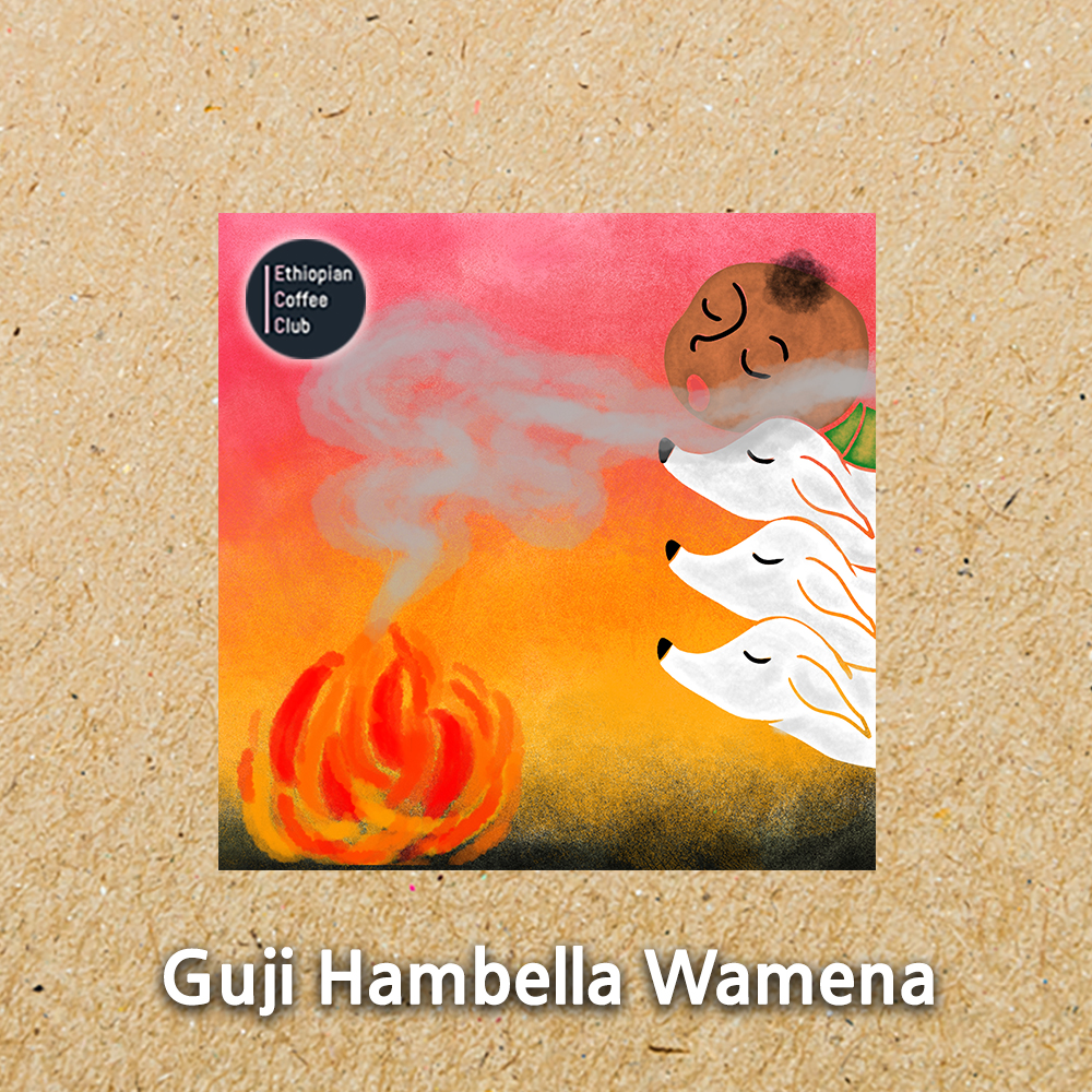 에티오피아 내추럴 커피 (Ethiopian Natural Coffee)