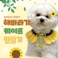 [코바늘DIY] 강아지 해바라기케이프 만들기