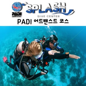 [제주도 스쿠버 다이빙] 제주도스킨스쿠버[PADI 어드밴스드 코스]