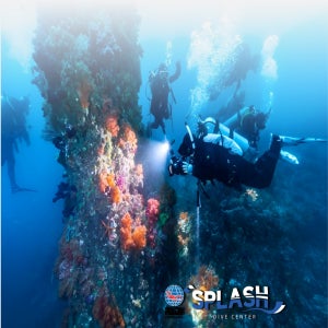 [제주도 스쿠버 다이빙] 제주도스킨스쿠버[PADI 어드밴스드 코스]
