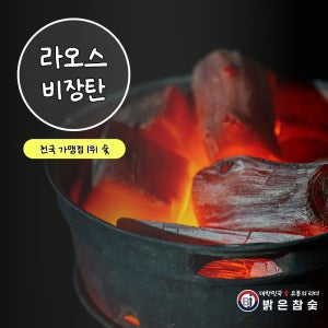 밝은참숯 라오스비장탄 9.5kg (업소용 바베큐용 캠핑용 구이용 숯)