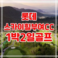 충청도골프/롯데스카이힐부여cc 골프패키지