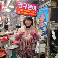 안동강구문어[통마리2.5Kg] 안동특산물.동해참문어.선물용.제수용 바로삶아 배송합니다