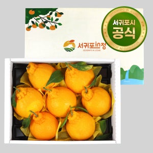 프리미엄 제주 감귤 한라봉 산지직송 2.5kg 4.5kg 선물용 실속형
