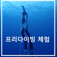 제주도 체험 프리다이빙 (바다에서 자유롭게~)