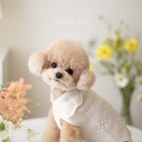 오파프 Popcorn Knit (Ivory)