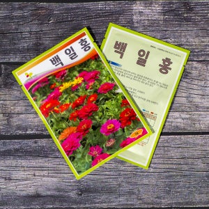 300립 믹스 홈가드닝 원예 백일홍 혼합 씨앗 꽃씨
