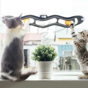 고양이 장난감 창문 사냥 공놀이 새끼고양이 용품 이지마운트 트랙앤롤