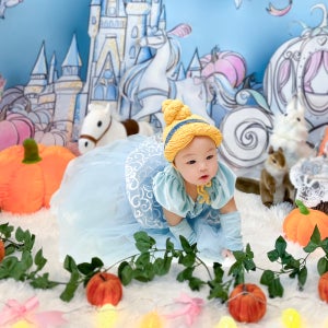 페이블리 신데렐라 아기 셀프 촬영 소품 대여 세트 100일 200일 300일