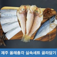 제주 산지직송 수산물 제주은갈치+참옥돔+고등어 맞춤구성 세트 부모님 명절 설선물