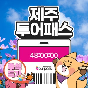 제주 투어패스 프리패스 제주도 여행 체험 관광지 카트 승마 공연