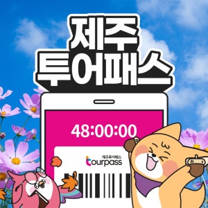 제주 투어패스 프리패스 제주도 여행 패키지 체험 관광지 카트 승마 공연 관광
