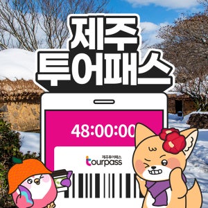 제주 투어패스 프리패스 제주도 여행 패키지 체험 관광지 카트 승마 공연 관광
