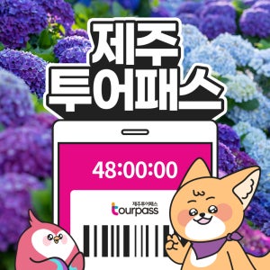 제주 투어패스 프리패스 제주도 여행 패키지 체험 관광지 카트 승마 공연 관광