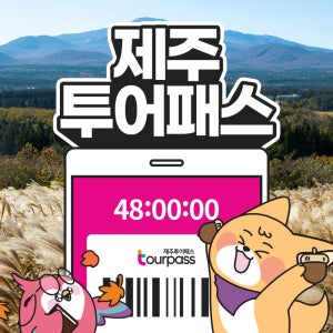 제주 투어패스 프리패스 제주도 여행 패키지 체험 관광지 카트 승마 공연 관광