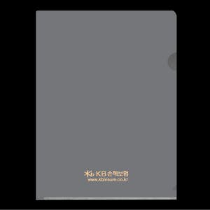 KB손해보험 - 보험 증권 화일 계약서 파일 / L홀더화일 PPS