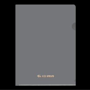 KB생명 - 보험 증권 화일 계약서 파일 / L홀더화일 PPS