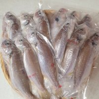 제주백조기 쫄깃하고 오동통한 흰살생선 통백조기2kg12마리