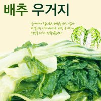 배추 우거지 배추 삶은 연한 국산 된장국 요리 맛있는 국 끓이기 만들기 재료 배송 국내산