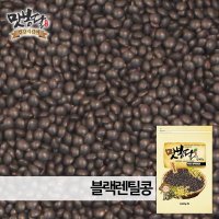 블랙렌틸콩 렌틸콩 흑렌틸 렌즈콩 검정렌틸 미국산 500g