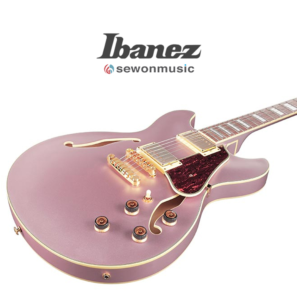 Ibanez 아이바네즈 일렉기타 AS73G 할로우바디 RGF