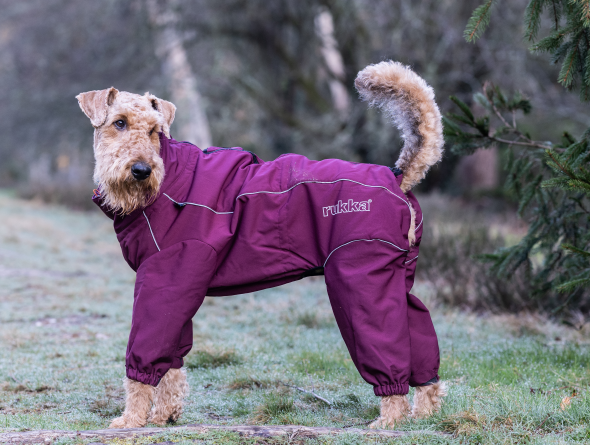 강아지 겨울옷 패딩 써말 오버올 25