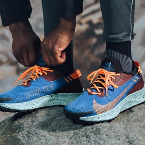 Men 나이키 페가수스 트레일2 고어텍스 Nike Pegasus Trail 2 GORE-TEX