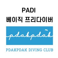 PADI 베이직 프리다이버