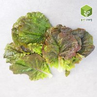 쌈채소 적상추 특 2kg