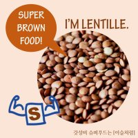 수입 브라운렌틸콩, 블랙렌틸콩 1kg 비건 채식 검은콩 렌틸콩