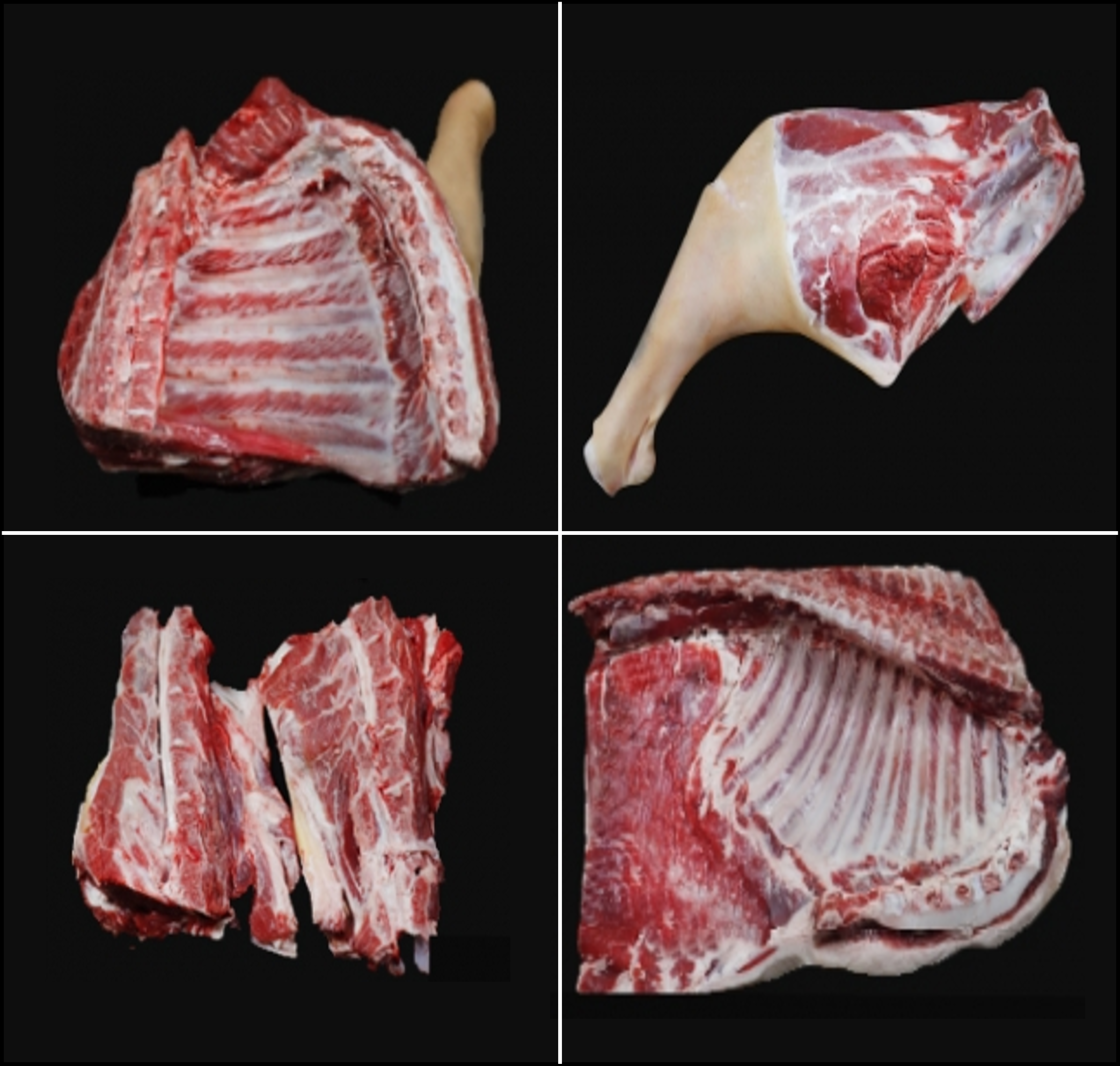 국내 최대 흑<b>염소</b> 농장 초방리 흑<b>염소</b> 고기 1kg <b>염소</b> 고기 불고기 수육 탕