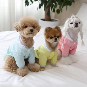 이츠독 파스텔 윈디 점퍼 바람 부는날 산책길엔