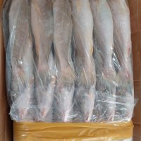 민어조기 3P 36마리 13.5kg 34cm내외 도매 업소용 식당용 반찬용 선물용