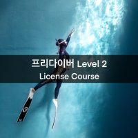 [다비이즈프리] PADI 프리다이버 (레벨2) 레벨1없어도 가능-다이빙 자격증 강습 교육