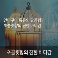 드롭 커피 재료 과테말라 안티구아 SHB 커피 500g