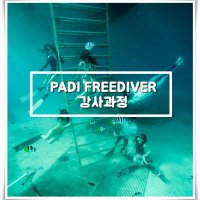 [라온아라 프리다이빙 ] PADI Freediver Instructor Course / 프리다이버 강사과정 / 교육