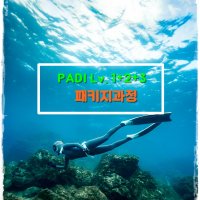 [라온아라 프리다이빙 ] PADI 1+2+3 어드밴스 프리다이버 과정 / 프리다이빙 교육 / 강습