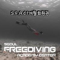 [서울프리다이빙아카데미센터] PADI 프리다이빙 S.F.A.C 기본 회원권 (1회 개인일정)