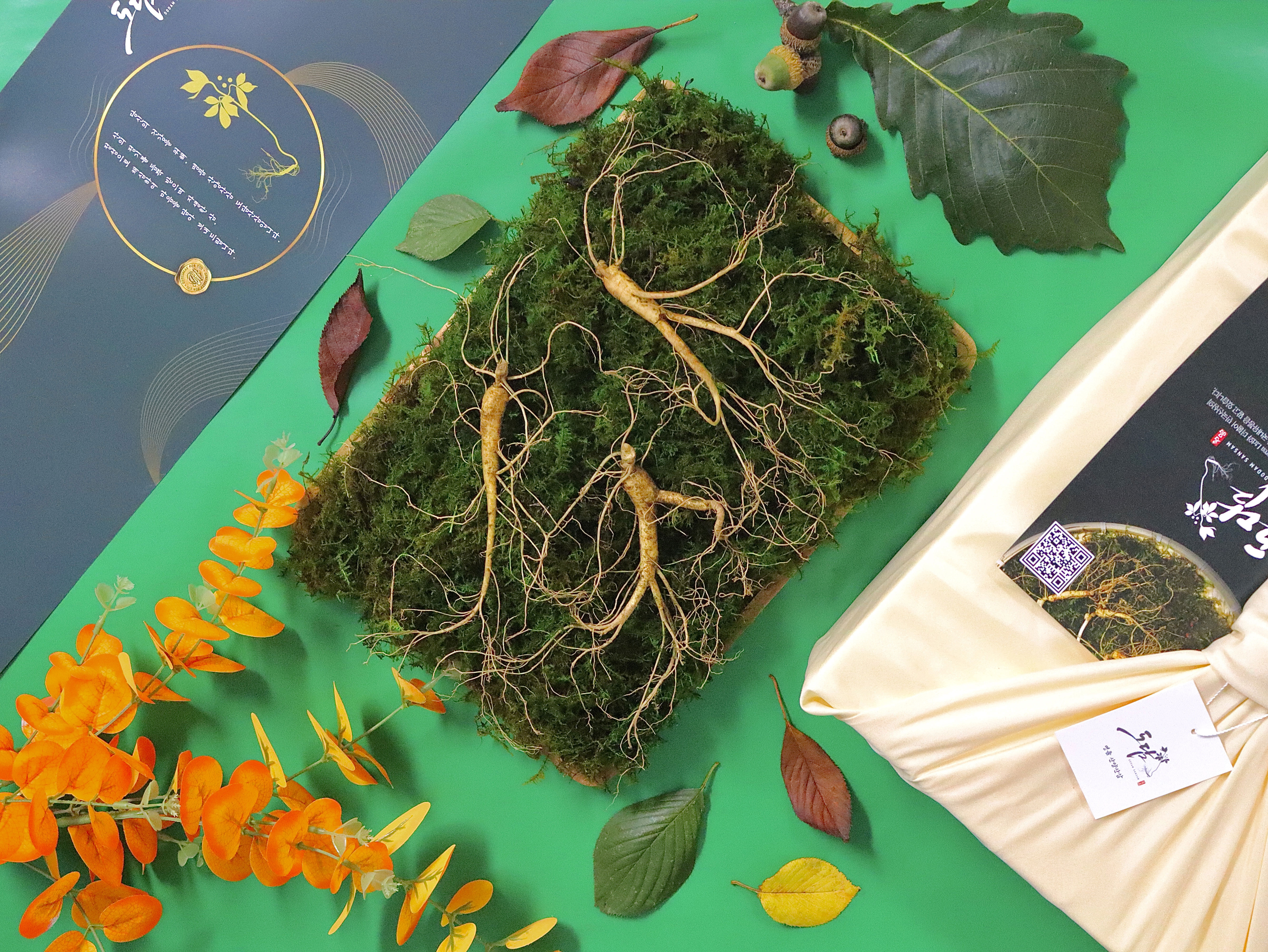 <b>산양삼</b> 산양산삼 산삼 장뇌삼 6년근 7뿌리 정삼 설선물세트 추석부모님선물 도담