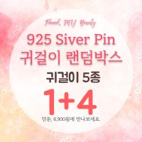 [랜덤박스] 아이비갤러리 925은침 귀걸이 5종 1+4 데일리 패션 아이템